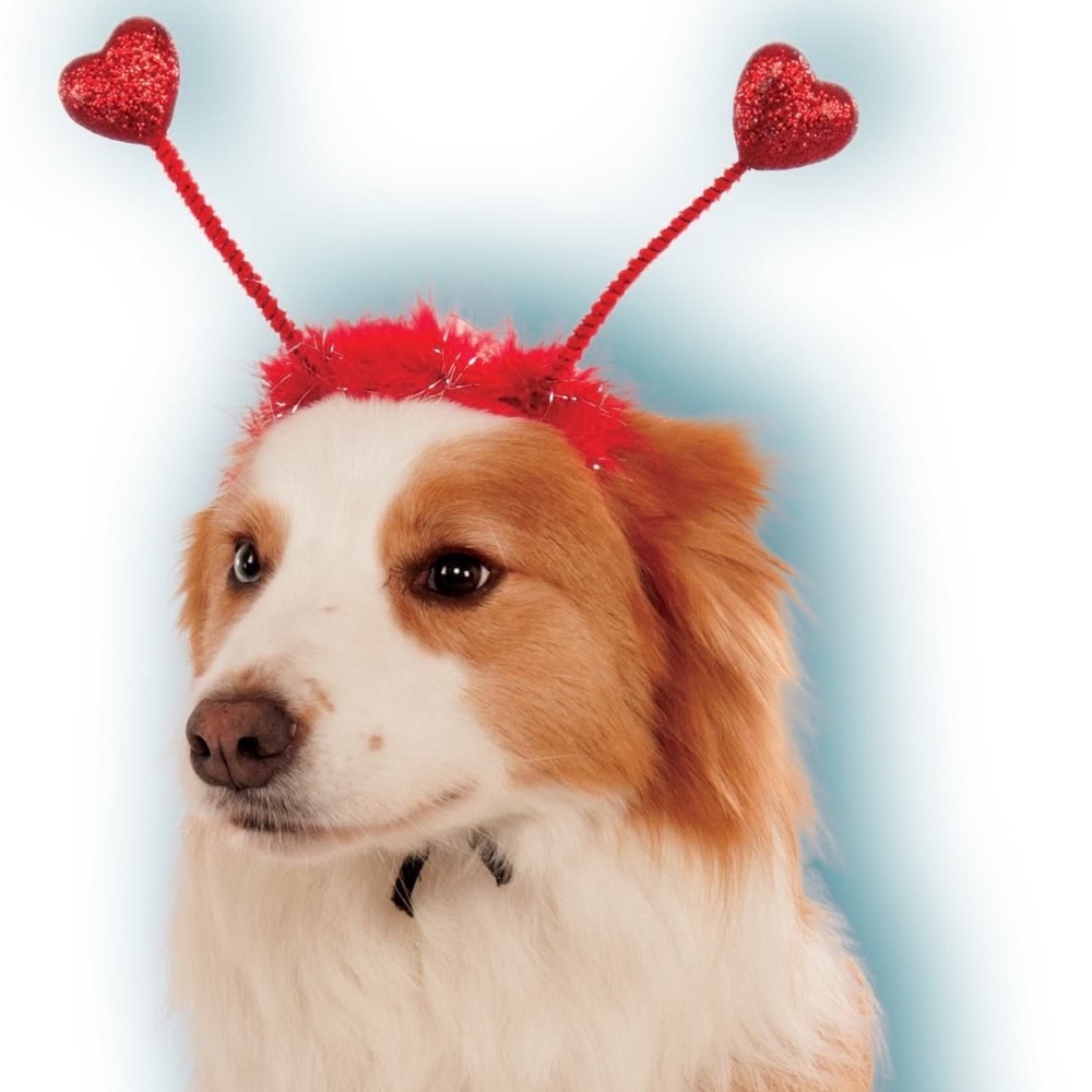 Pet Red Heart Boppers